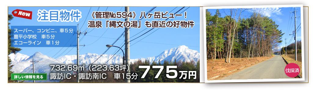 おすすめ情報