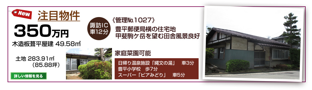おすすめ情報