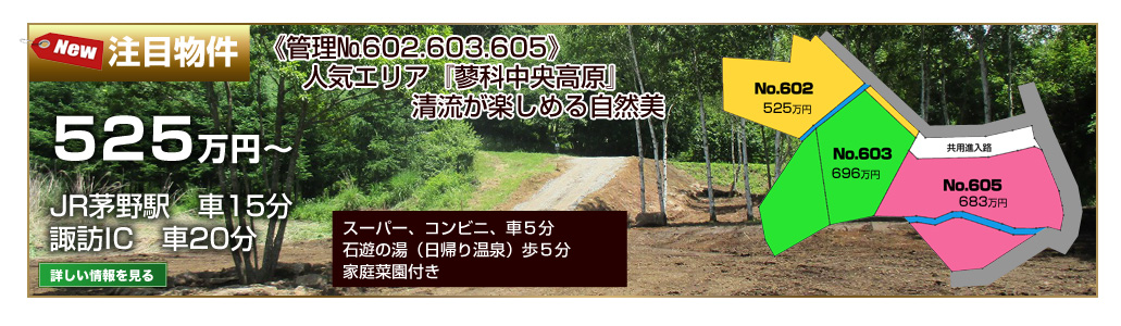 おすすめ情報