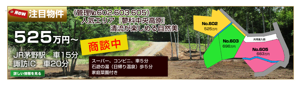 おすすめ情報